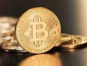 Multi-currency mining rig operating optimally