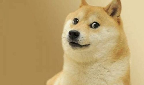 Mining rig designed for Dogecoin